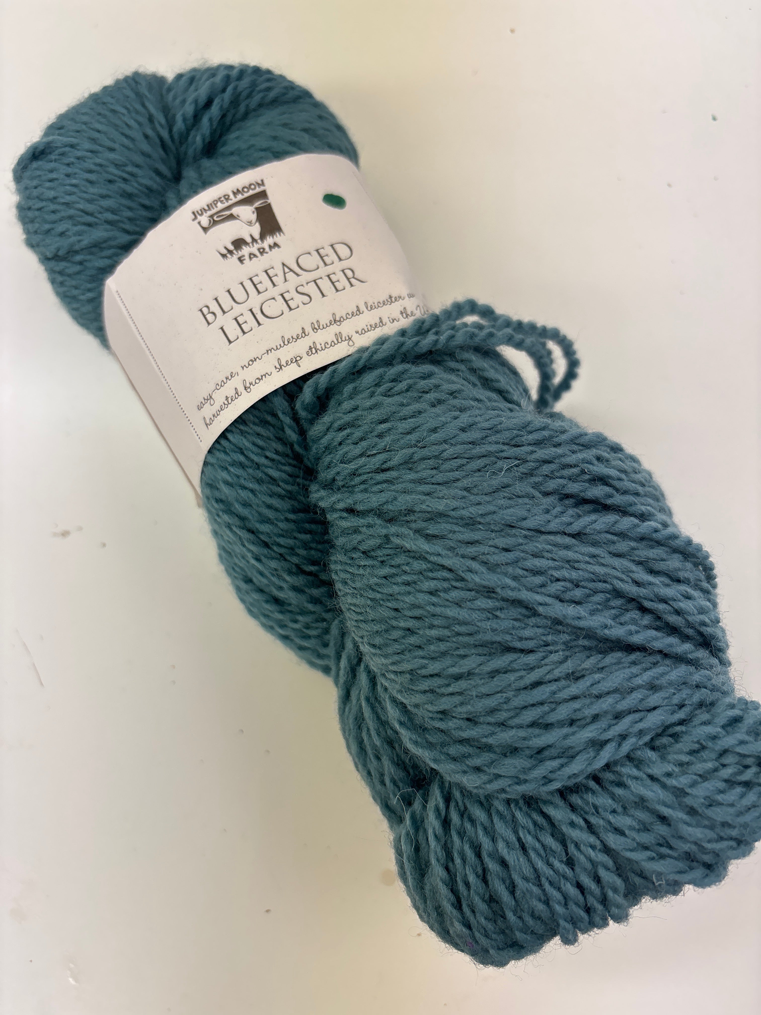 bluefaced leicester by Juniper Moon Farms