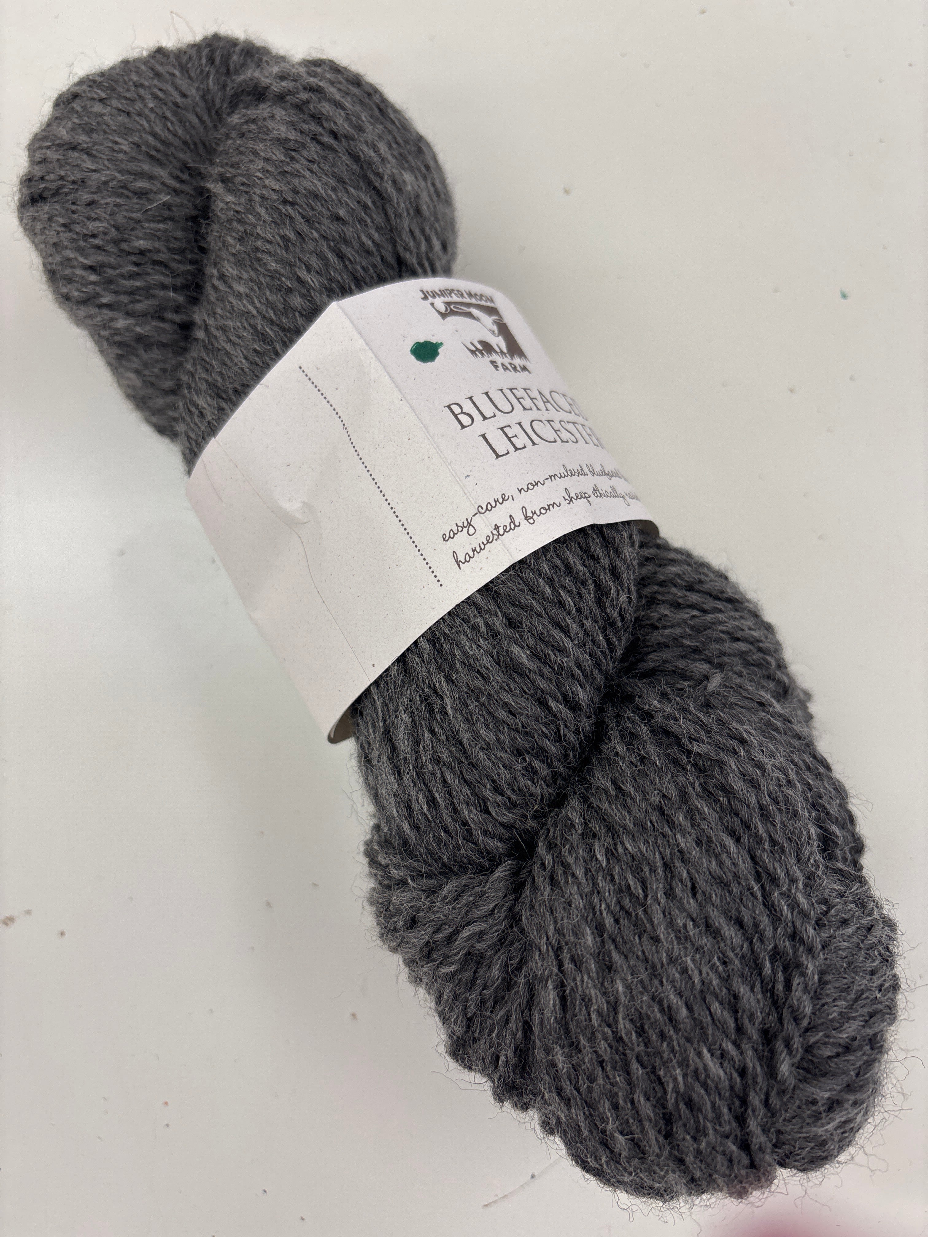 bluefaced leicester by Juniper Moon Farms