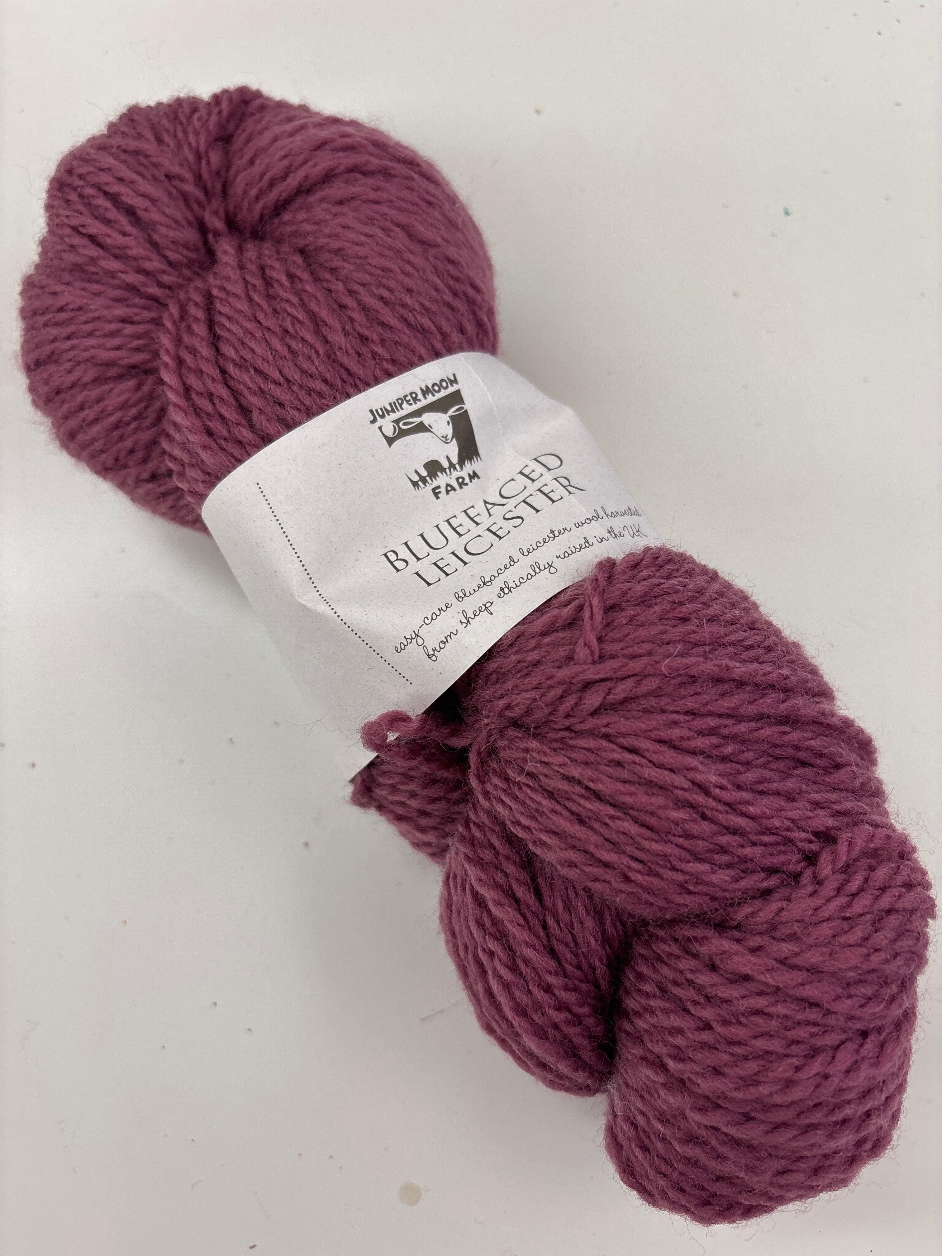 bluefaced leicester by Juniper Moon Farms