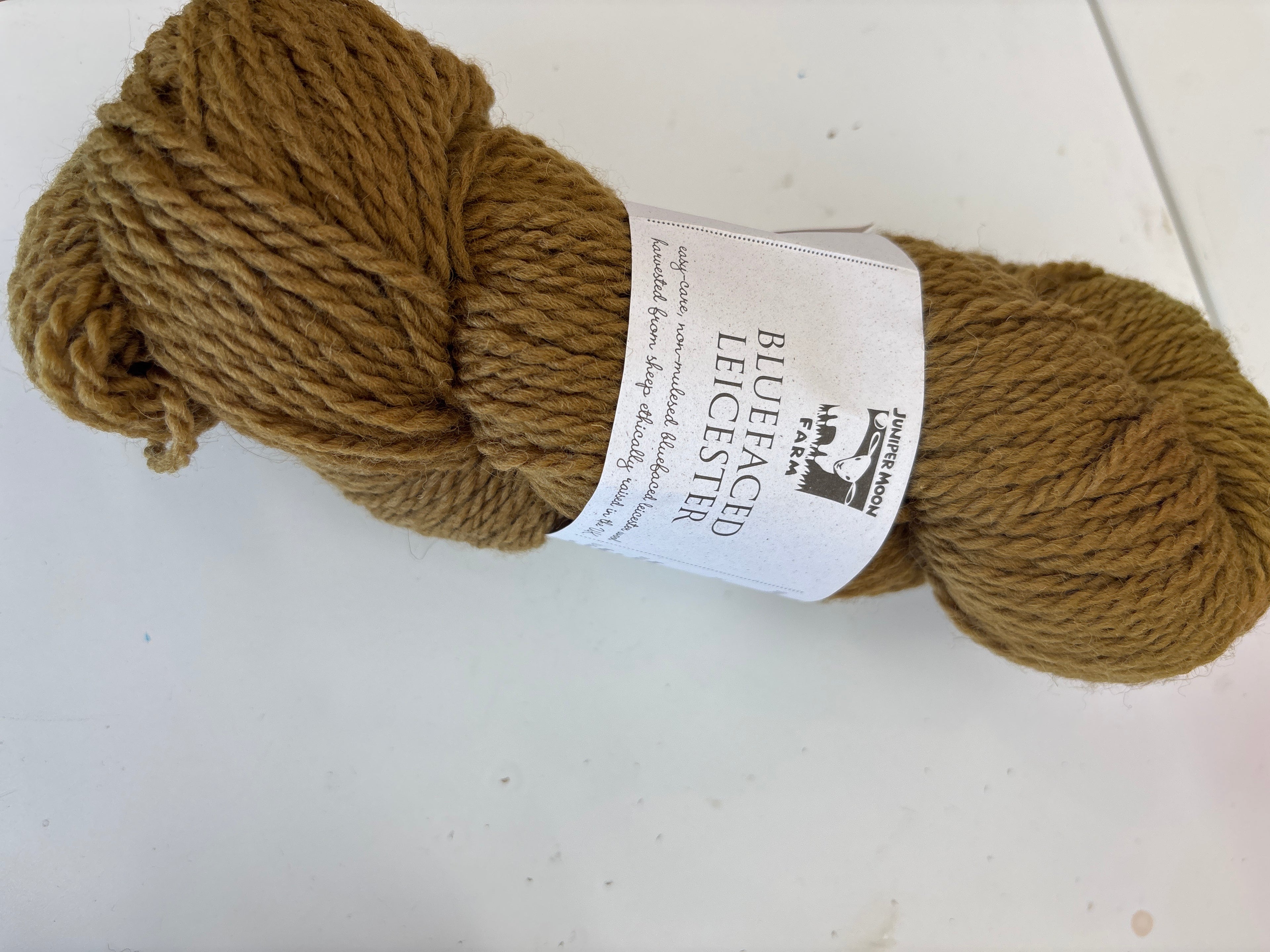 bluefaced leicester by Juniper Moon Farms