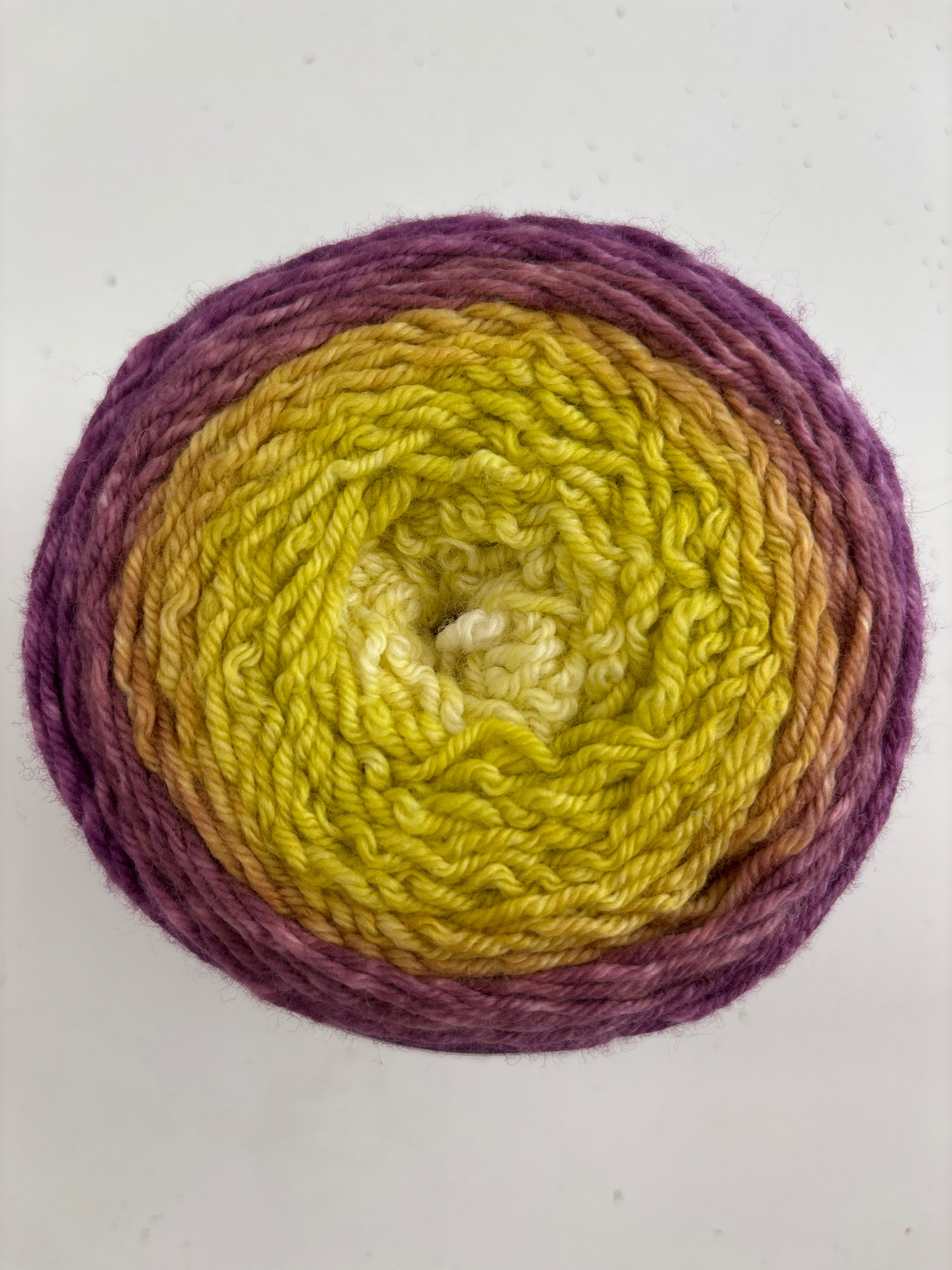 Mad Hatter Blossom 344 by Wonderland