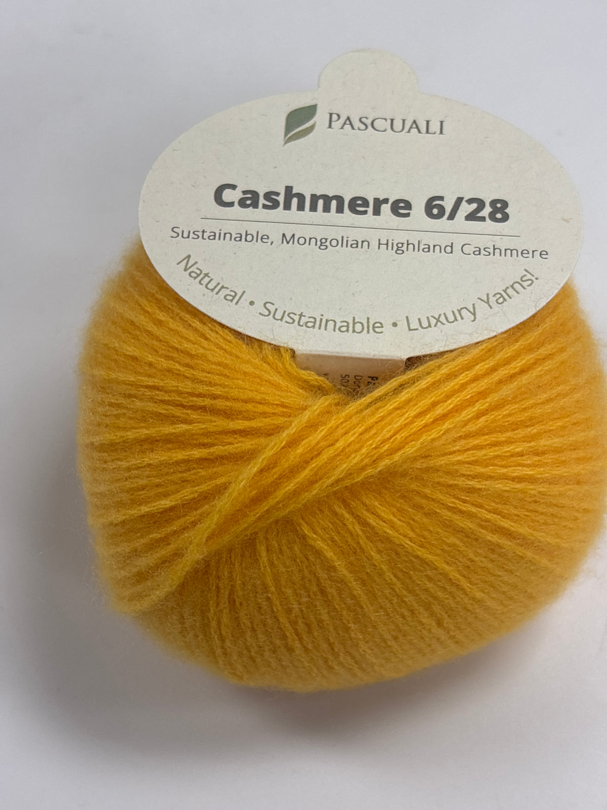 Cashmere 6/28 by Pascuali